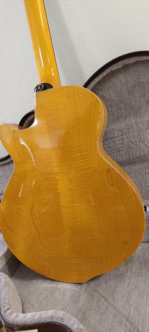 【美品】westville solar ハードケース付