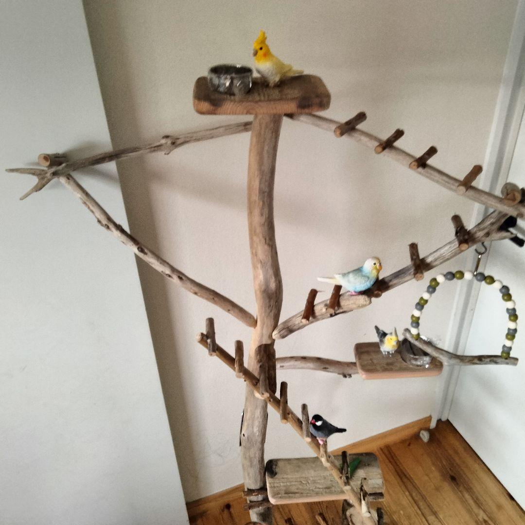 KT バードアスレチックジム大型 天然木 自然木 流木 止まり木 インコ