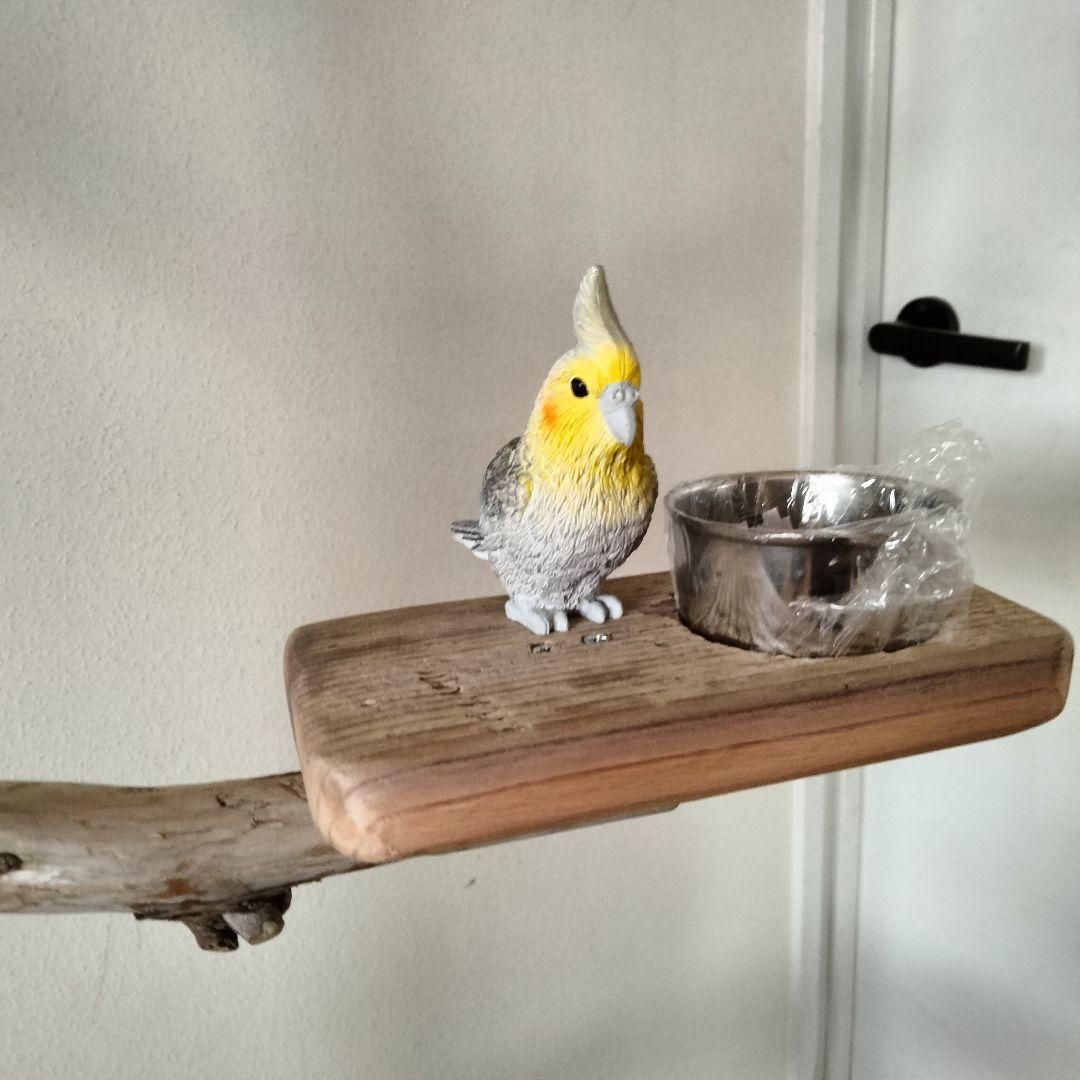 KT バードアスレチックジム大型 天然木 自然木 流木 止まり木 インコ