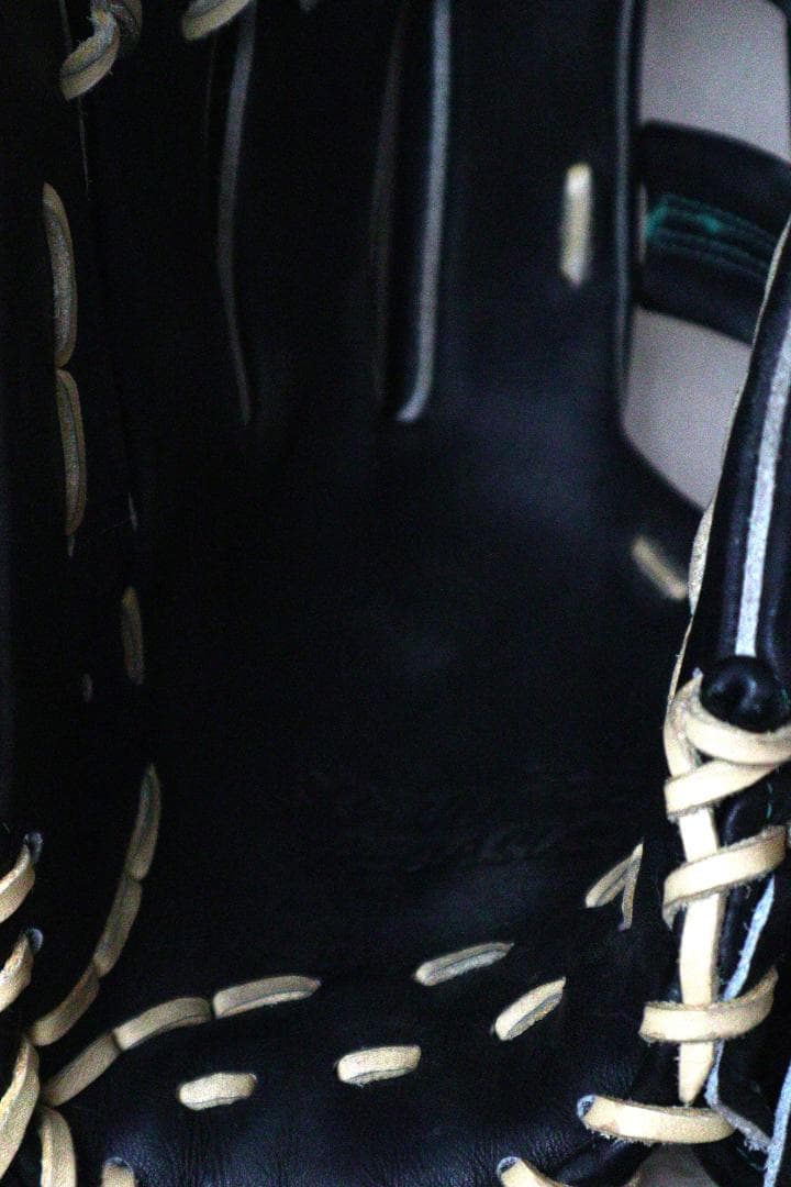 ワールドペガサス 硬式軟式兼用 オールラウンド グラブ グランドペガサス