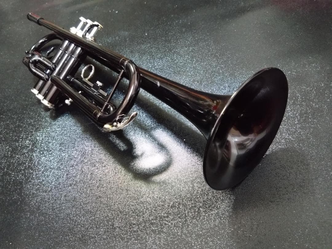 【最終】￥29,180の品　Kaerntner トランペット KTR(ブラック)