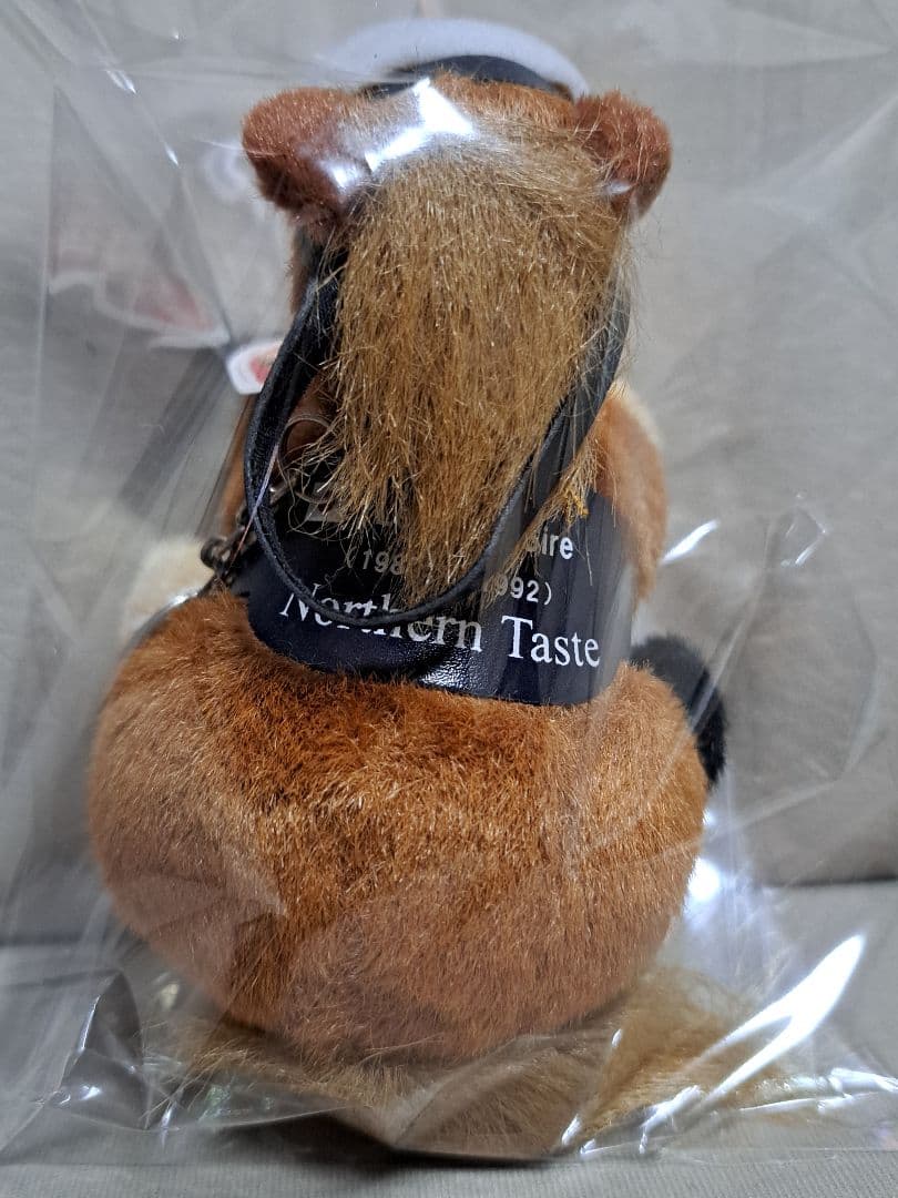 ノーザンテースト アバンティ 5sサイズ 競馬ぬいぐるみ
