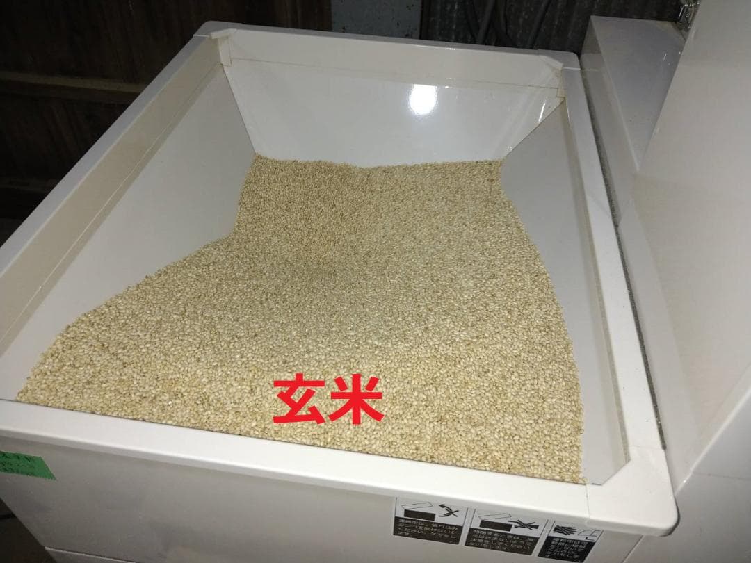 令和7年千葉県産農家直送マンゲツモチ玄米3０㎏関東甲信越の方へ沖縄県離島の方除く