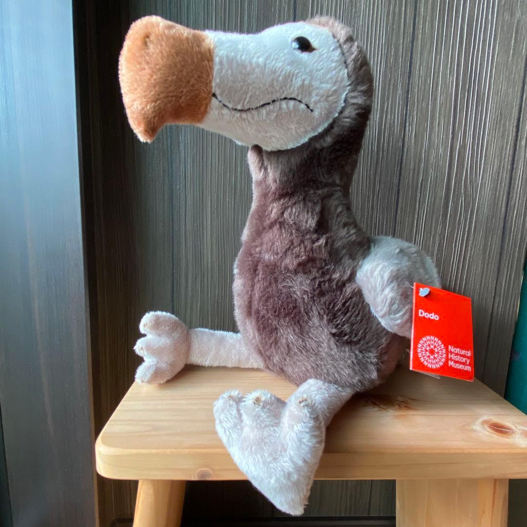 ロンドン自然史博物館ドードーのぬいぐるみ