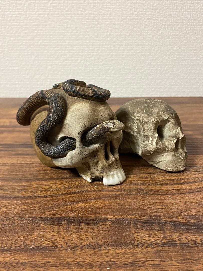 骨董レトロ髑髏野晒しスカル 2個セット 蛇付き 樹脂製