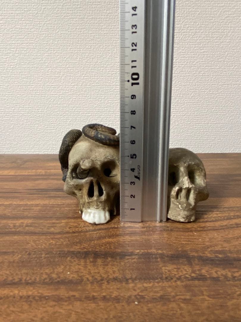 骨董レトロ髑髏野晒しスカル 2個セット 蛇付き 樹脂製