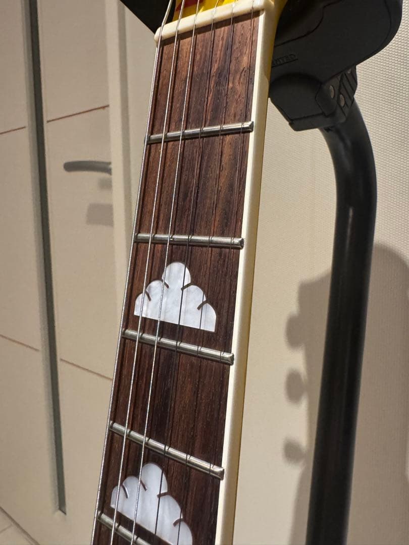 Burny FERNANDES MG-165S HY hideモデル 中古