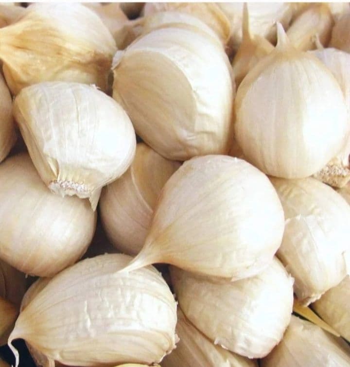 青森県産　にんにく バラ5kg