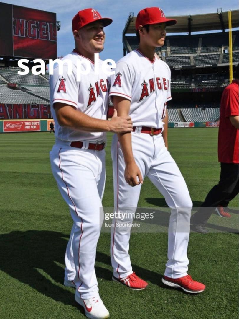 MLB  エンジェルス  大谷翔平　19選　　★149  選択購入可能