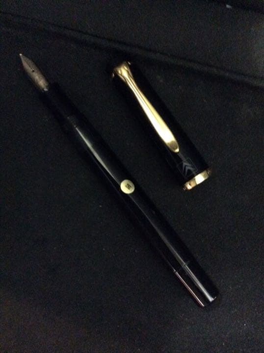 ペリカン万年筆ギュンターワーグナー(インク、ケース付)