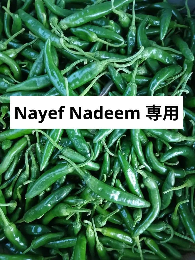 訳アリ 青唐辛子 激辛10kg