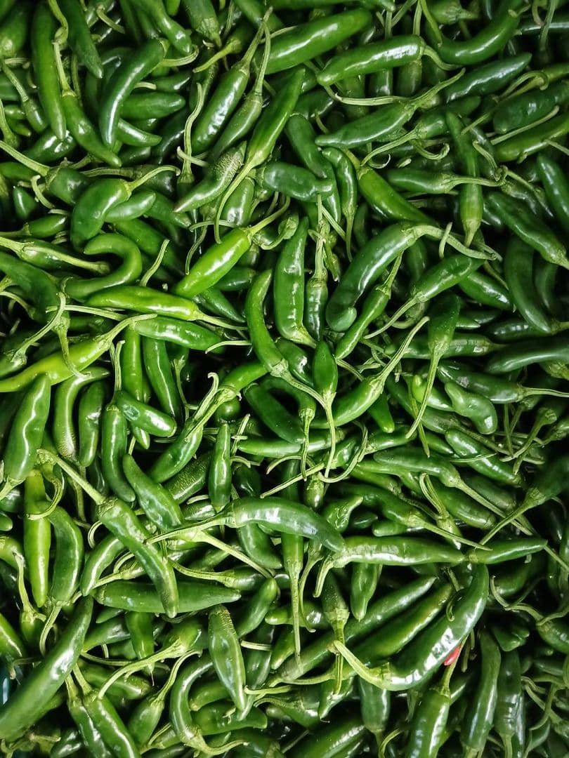 訳アリ 青唐辛子 激辛10kg