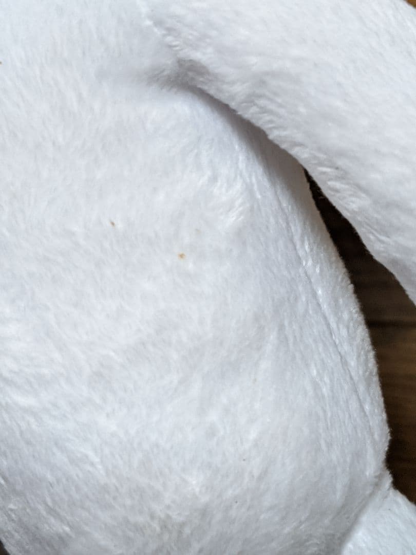 どこでもいっしょ。トロぬいぐるみ