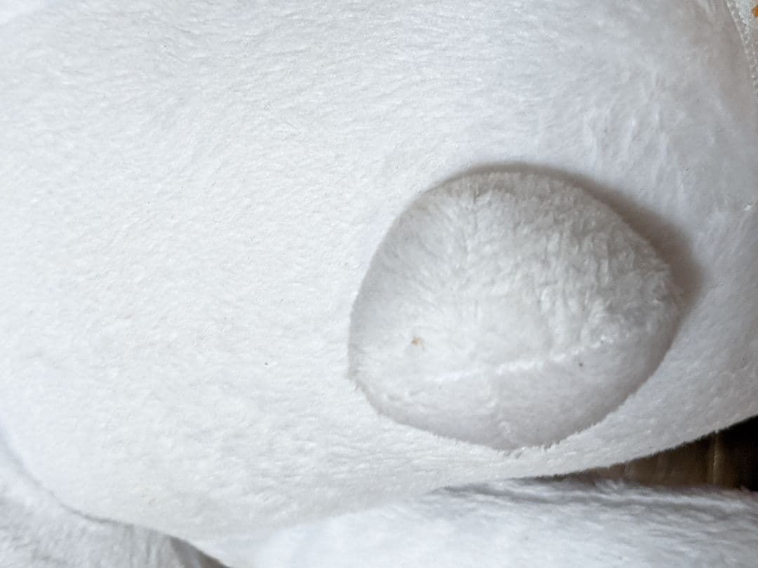 どこでもいっしょ。トロぬいぐるみ