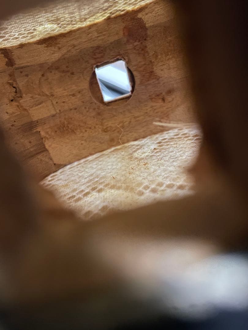 三線 本体 本革強化張 棹重量532g ケース付き