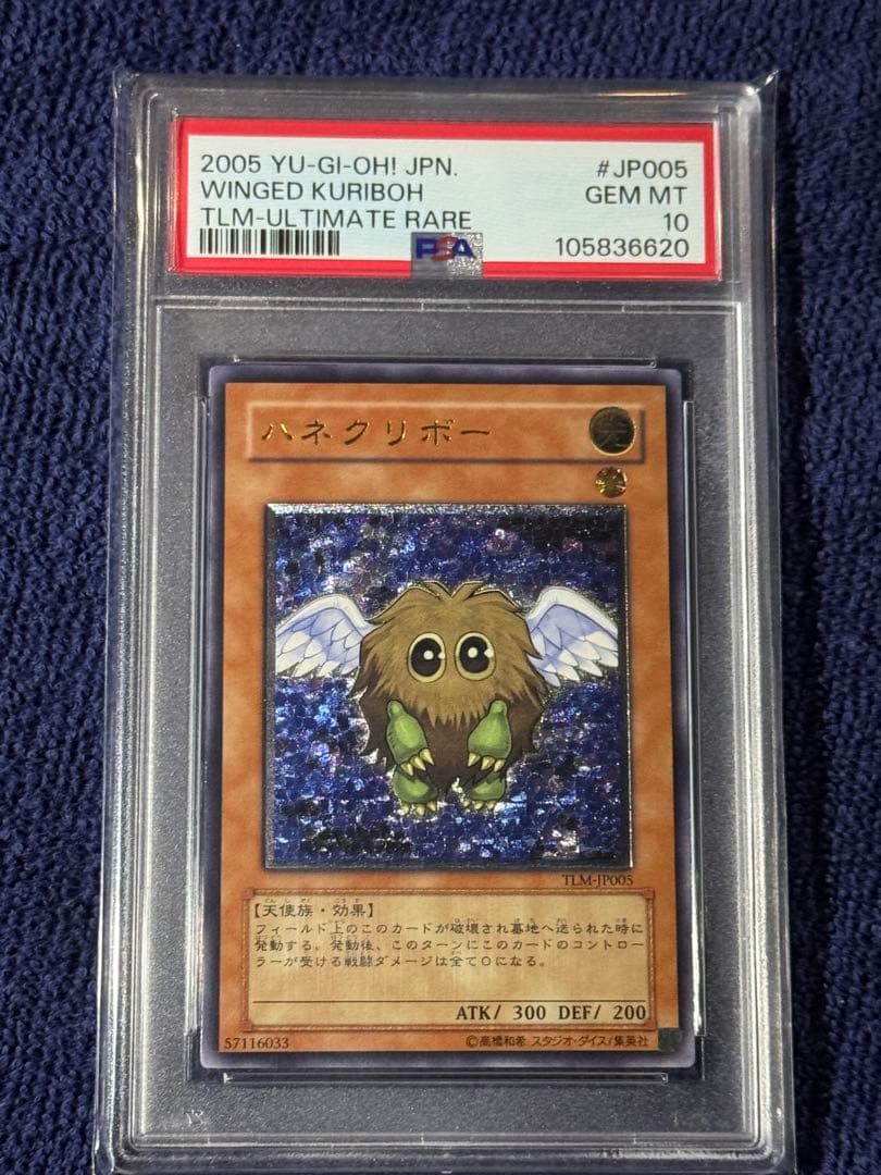 遊戯王　PSA10 ハネクリボー　レリーフ