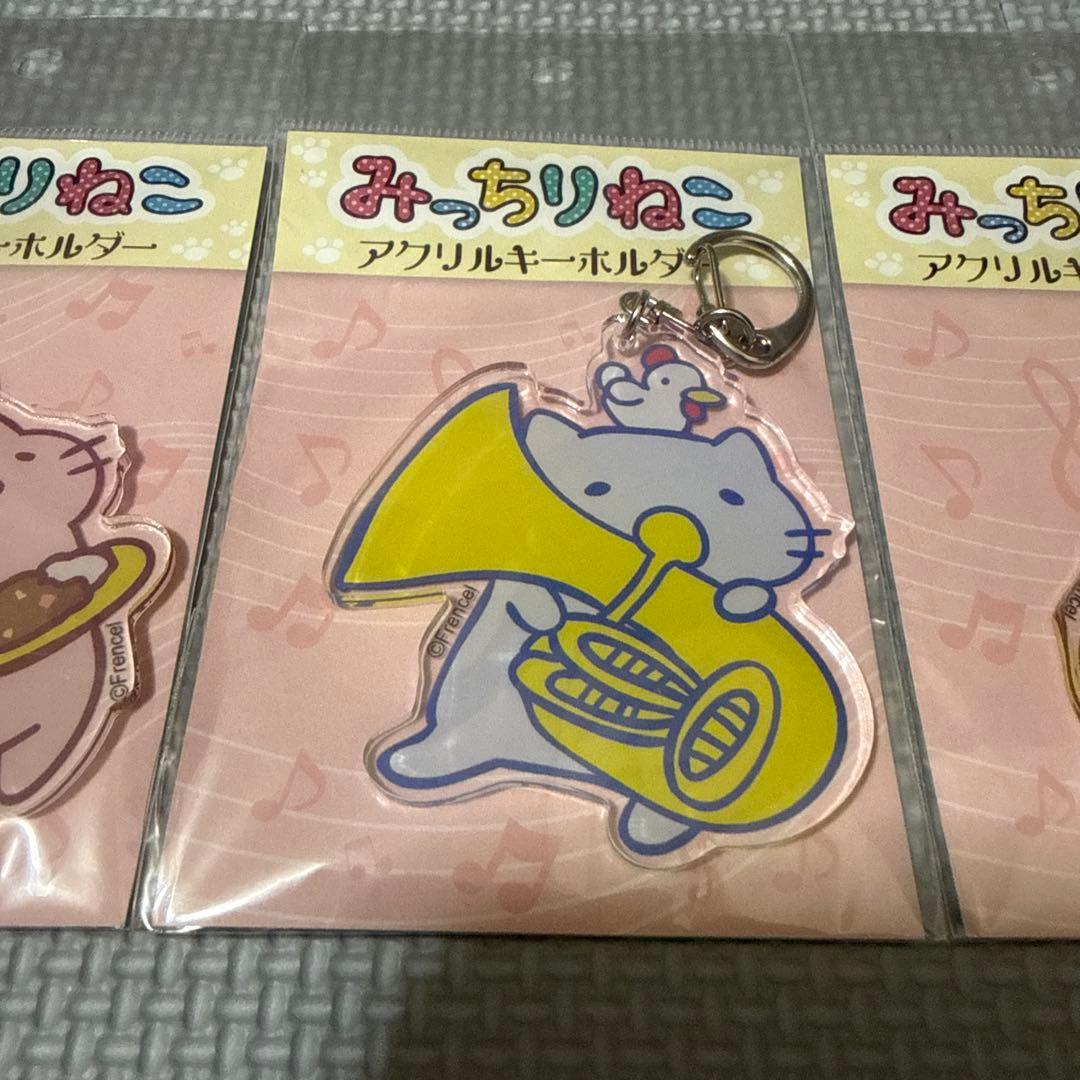 みっちりねこ　アクリルキーホルダー5点セット