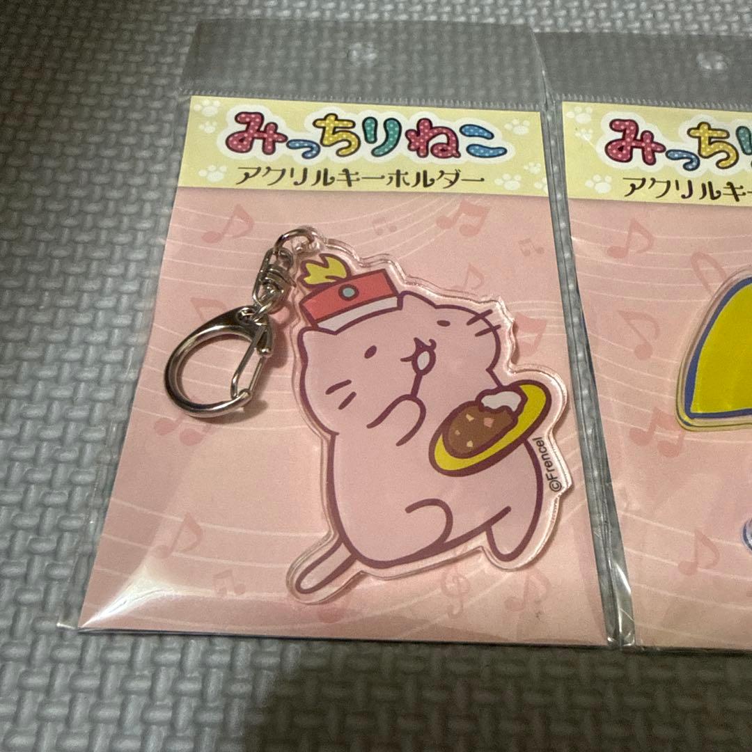 みっちりねこ　アクリルキーホルダー5点セット