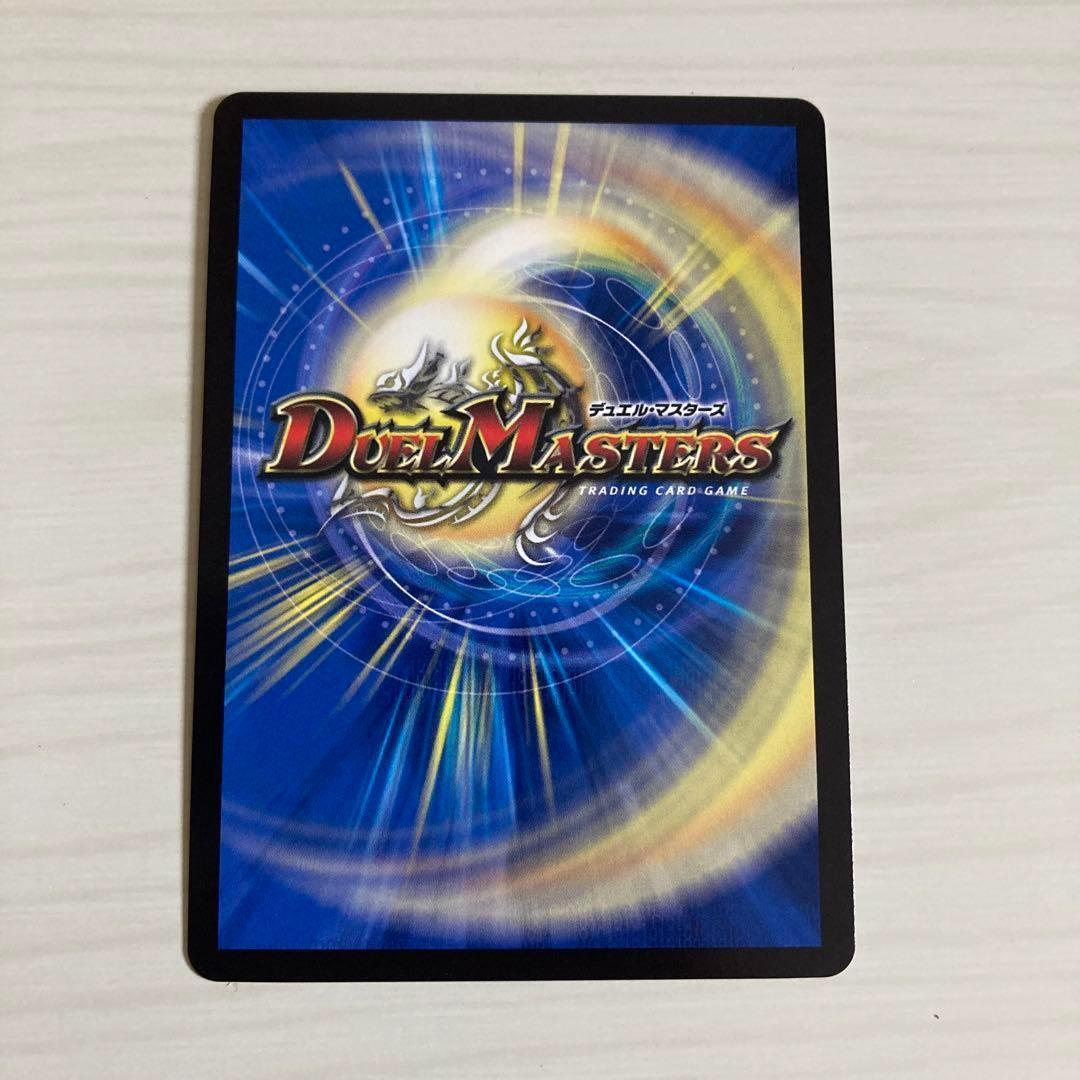 メルカリ便 王導聖霊 アルファディオス シク シークレット