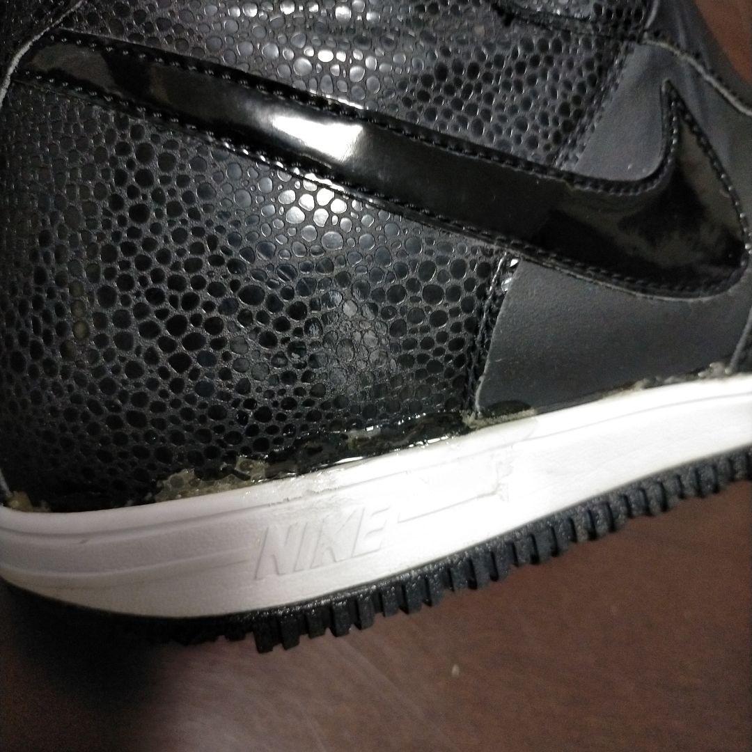 レア Nike SB ZF1 ナイキ スノーボード ブーツ ダブル BOA 26