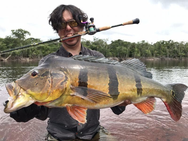 激安価格！ フィンチ　CANARIA 610M　4ピースロッド 完全未使用