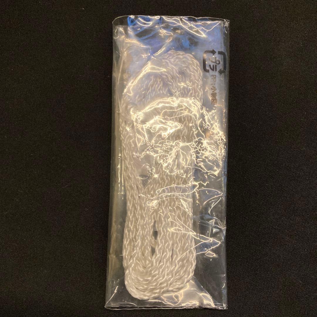 森山大道　A3ポスター 黒猫