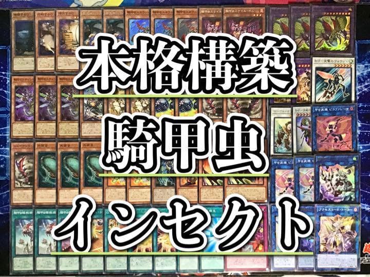 本格構築 【騎甲虫インセクト】デッキ メイン＆EX15枚＆二重スリーブ セット