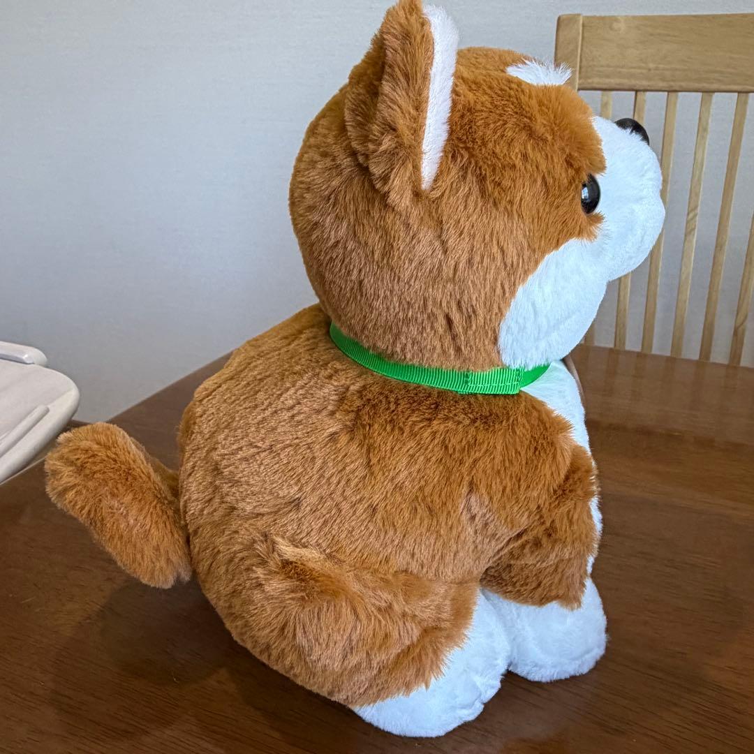しばいぬコウタ　おしゃべりぬいぐるみ