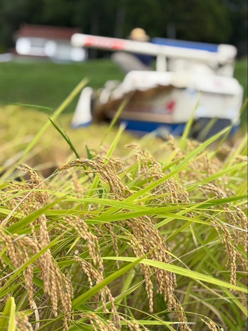 玄米　20kg 農家直送　コシヒカリ　 広島県産