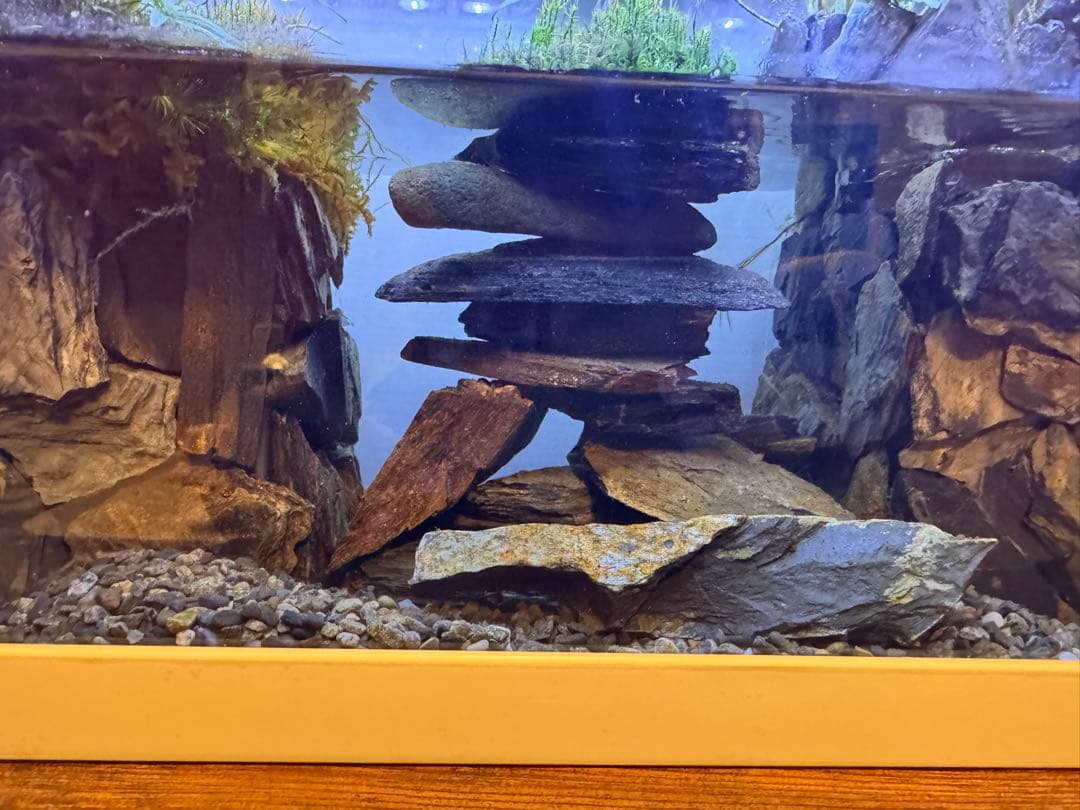 水の流れる滝テラリウム水槽　苔テラリウム