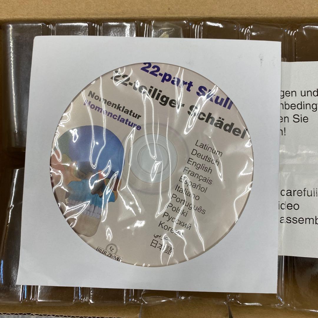 ERLER ZIMMER 人体模型