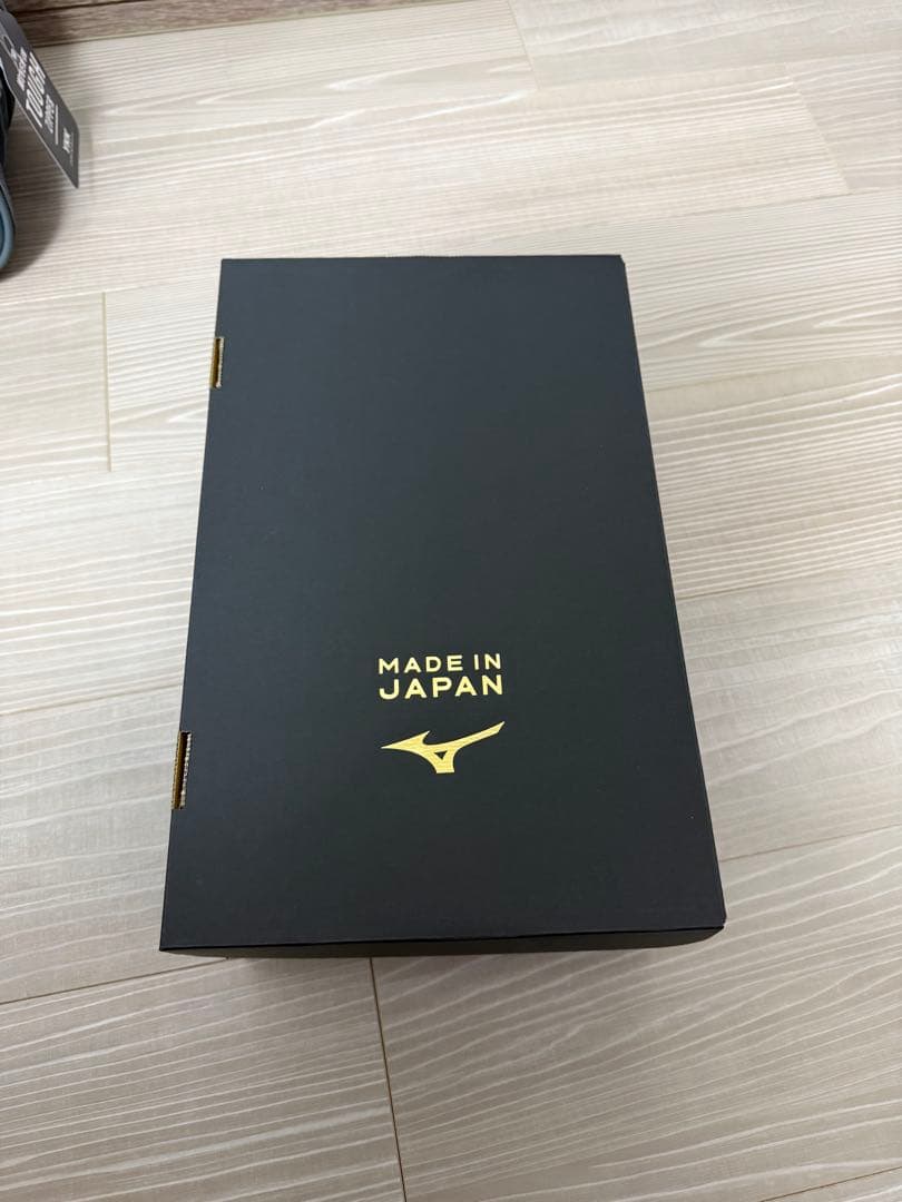 ミズノ モレリア 2 JAPAN AG 28cm P1GA250360