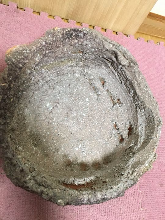 信楽焼巨匠 澤清嗣作 鉢 お値下げしました。お買い得です