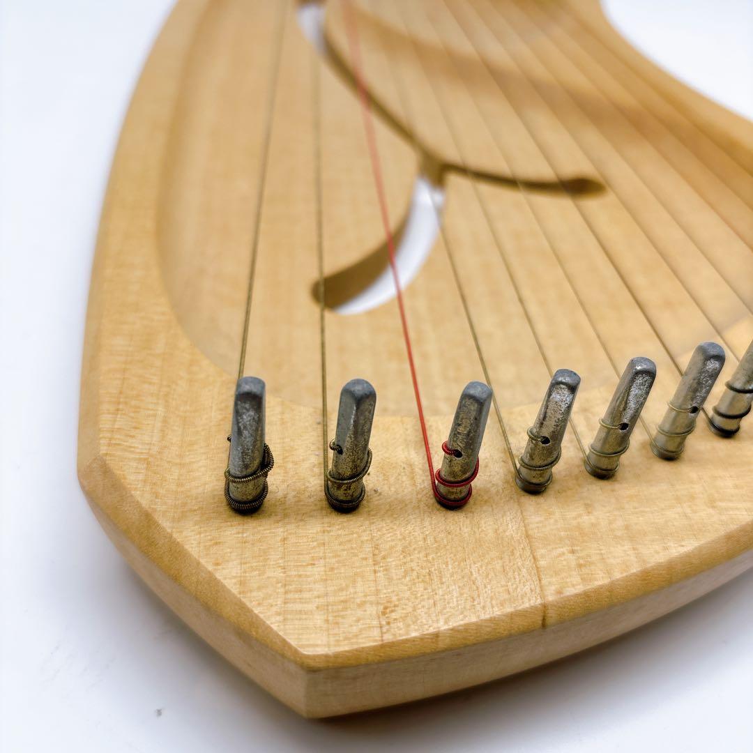 アウリス（AURIS）ライアーダイヤトニック１２弦