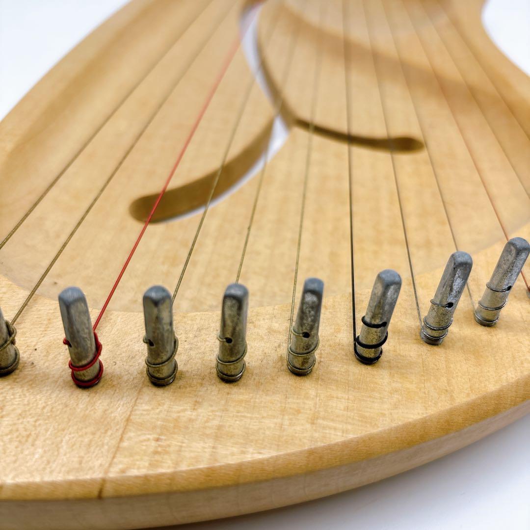 アウリス（AURIS）ライアーダイヤトニック１２弦