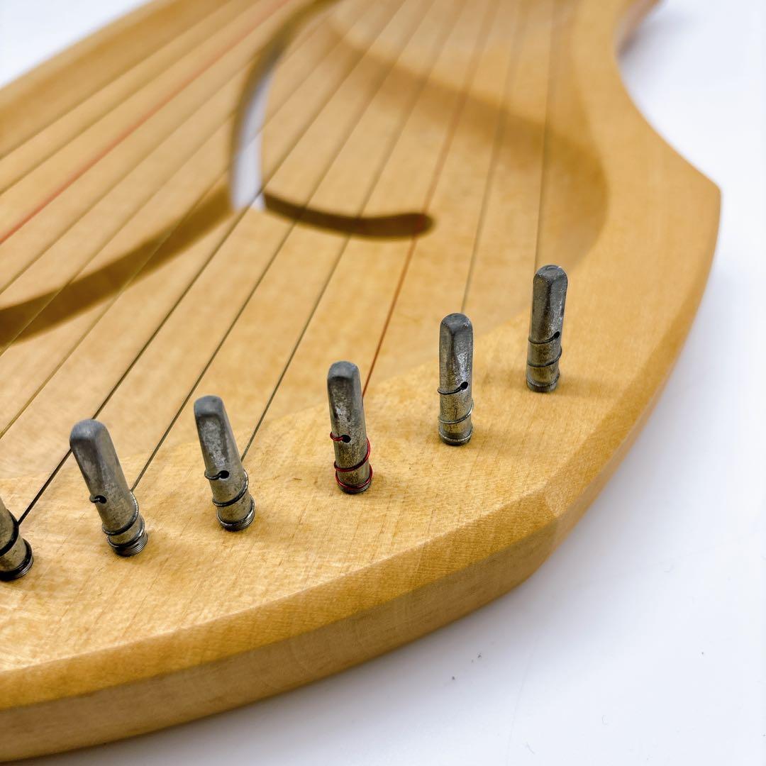 アウリス（AURIS）ライアーダイヤトニック１２弦