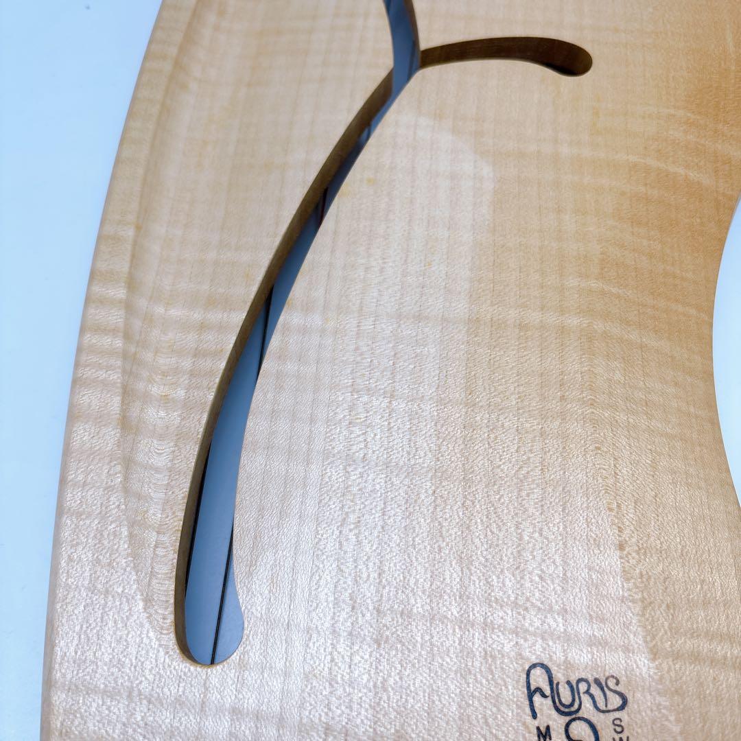 アウリス（AURIS）ライアーダイヤトニック１２弦