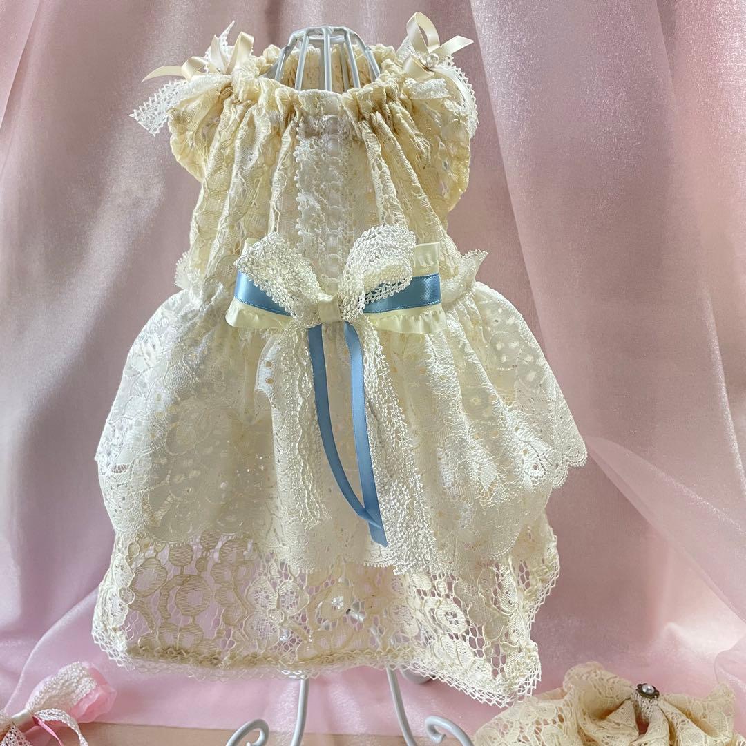 アンティークドールワンピ✴︎フレンチスリーブ　犬服　ハンドメイド　∞TuTu∞