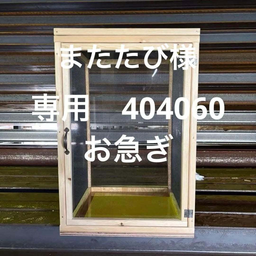 またたび　404060 お急ぎ