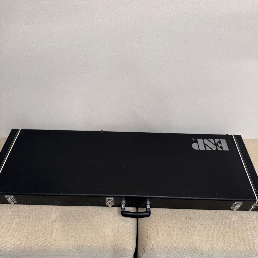 ESP オーダーベース　PJ仕様　ダンカンピックアップ　ハードケース付き