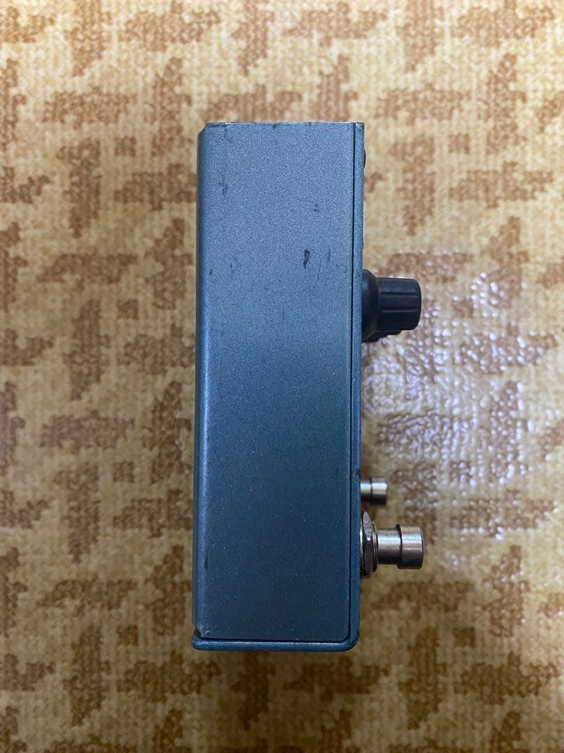 ギター Radial bones Vienna Chorus