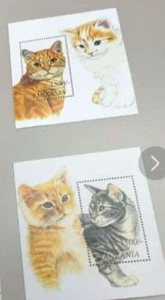 2312 專用 (その2) 确認用 10点+バラ売り9点