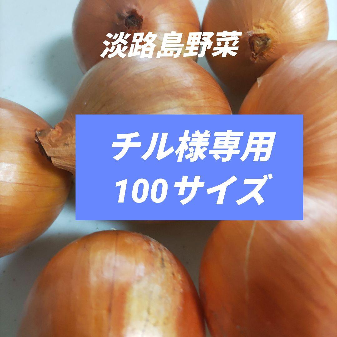 淡路島産野菜100サイズ箱