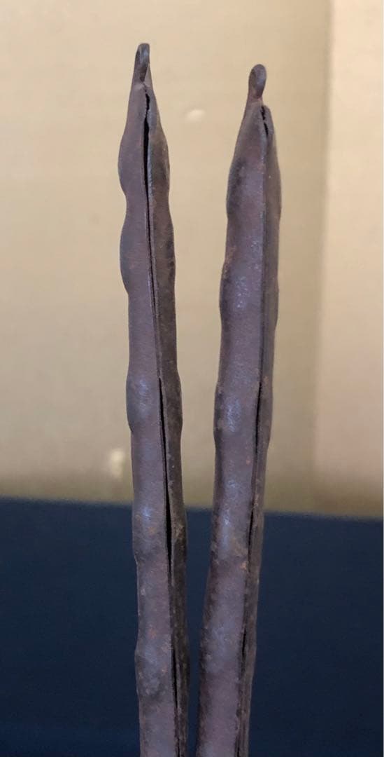 《R》茶道具 明珍造 豆形火箸 鉄火箸 全長約28.7㎝ 木箱　260209け1