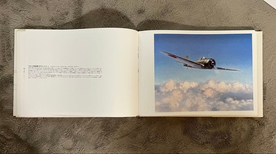 小池繁夫 FLYOVER フライオーバー 航空イラスト作品集 中古美品 ソニー