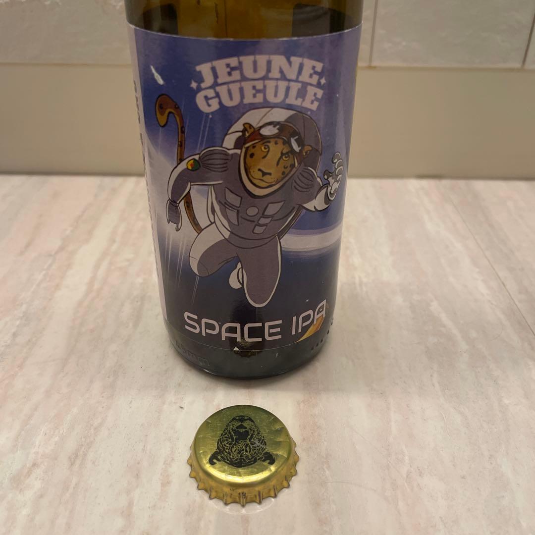 地ビール　王冠　カリブ海　世界遺産　希少　貴重　海外ビール　レア　ビール瓶