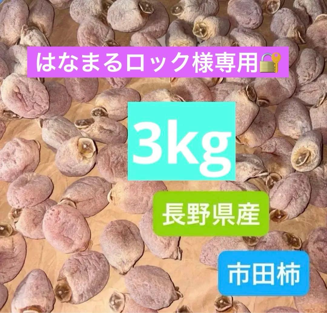 【はなまるロック】長野県産 市田柿 3kg