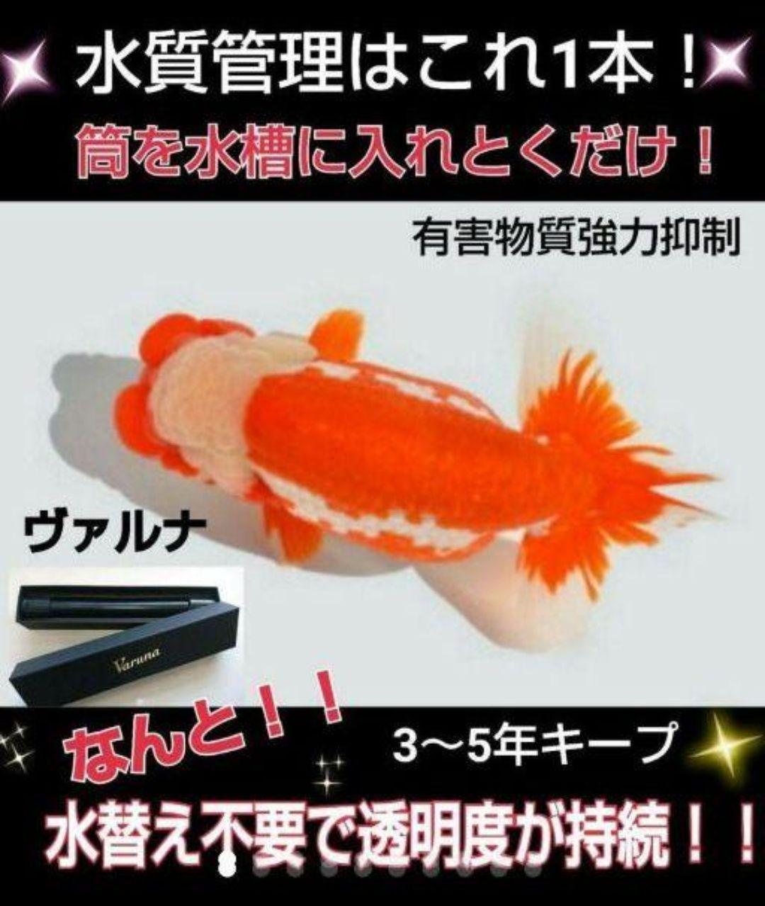 アロワナ飼育者絶賛！水槽の透明度抜群に！ヴァルナミニ　有害物質、病原菌も強力抑制