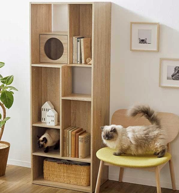 組立済み【幅60cm】猫が遊べるキャットウォークつきブックシェルフ