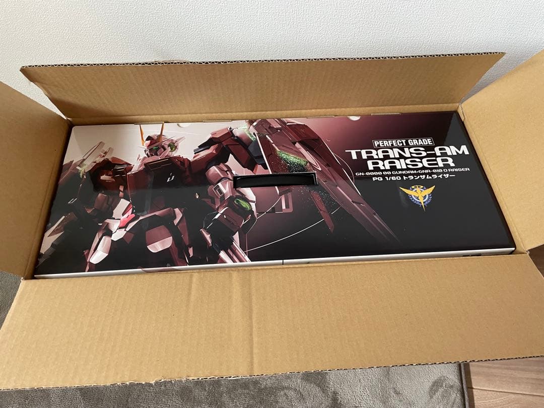 PG トランザムライザー　1/60